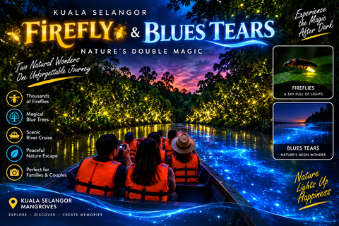Kuala Selangor: Firefly & Blue Tears Night Tour