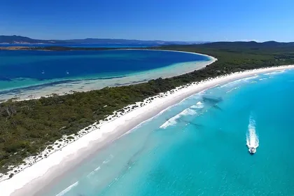 Ab Triabunna: Maria Island Kreuzfahrt & geführte Wanderung mit ...