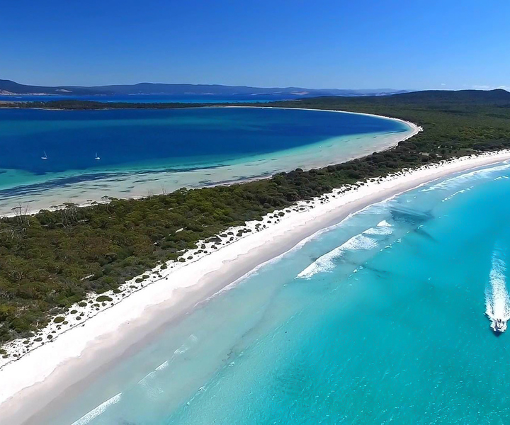 From Triabunna: Maria Island Cruise & Guided Walk with Lunch