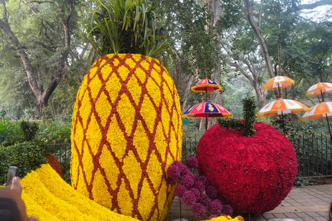 Bengaluru: Rundvandring i Cubbon Park