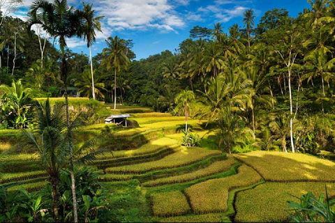 Ubud: Waterfalls, Water Temple & Rice Terraces Private Tour Private Tour Without Entry Tikets