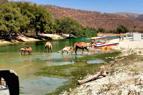 Oost Salalah Tour van 8 uur door Visit Our Salalah