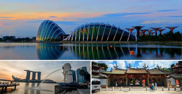 City Sightseeing Guided Tour with Garden By The Bay Ticket