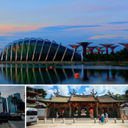 City Sightseeing Guided Tour with Garden By The Bay Ticket