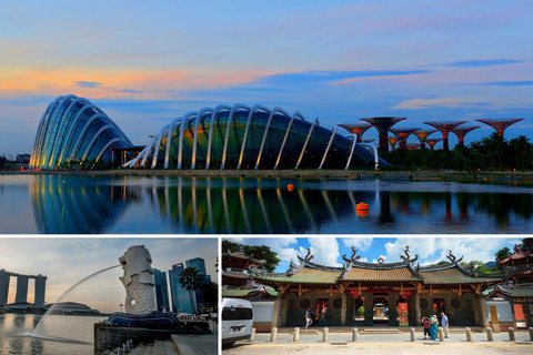Singapore: City Highlights Tour with Hotel Pickup