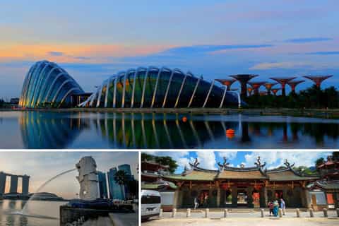City Sightseeing Guided Tour with Garden By The Bay Ticket - Image 3