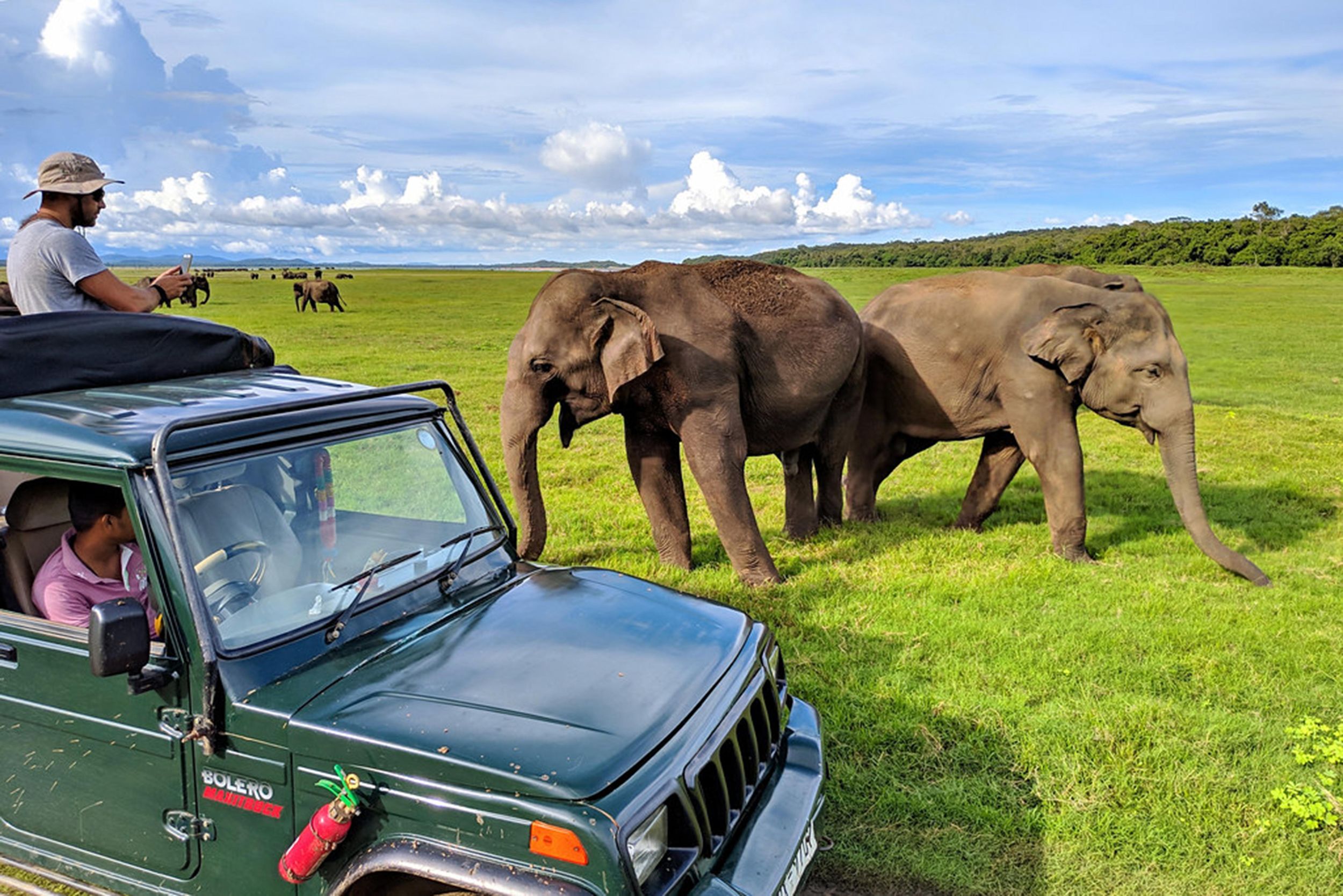 Kandy: Sigiriya & Pidurangala Felsen & Kaudulla Safari-Tour