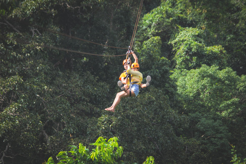 From Koh Samui: Tree Bridge Zipline and Café Experience