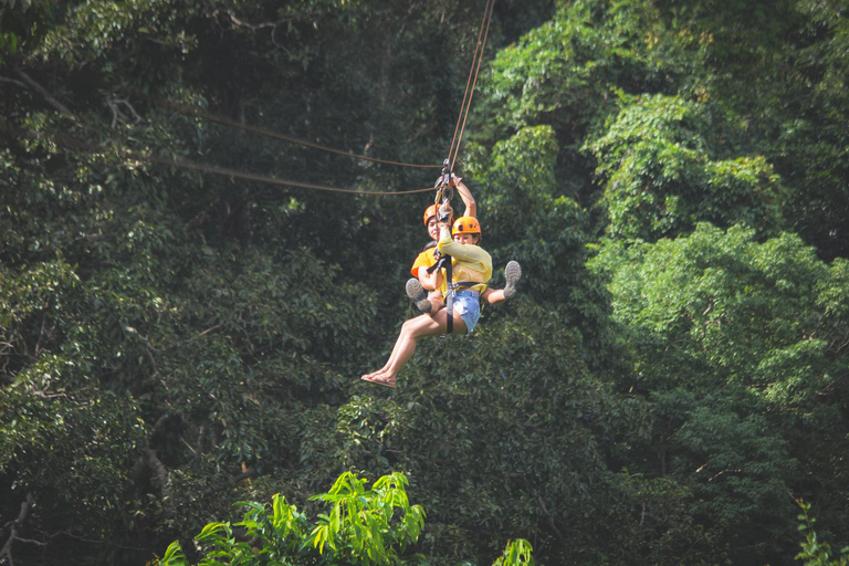 From Koh Samui: Tree Bridge Zipline and Café Experience
