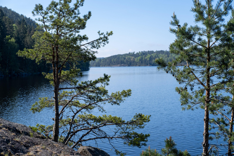Oslo: Old-Growth Forest Hike with a Biologist