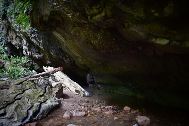 MEDELLIN: RAFTING RIO CLARO + CONDOR CAVE