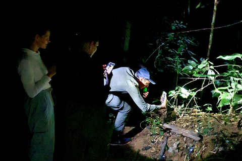Khao Sok: Half-Day & Night Wildlife Trek and Jungle Dinner Option 6: Half-Day & Night Trek with Dinner From Khao Lak