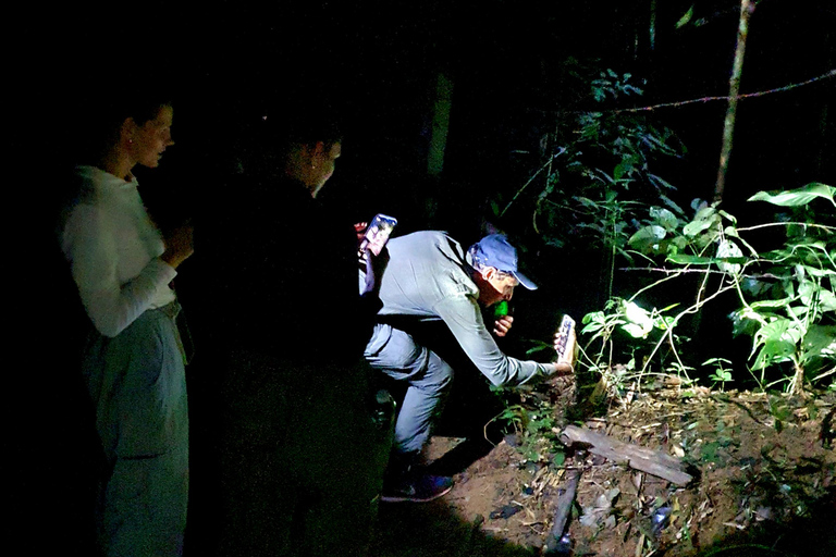 Khao Sok: Half-Day & Night Wildlife Trek and Jungle Dinner Option 6: Half-Day & Night Trek with Dinner From Khao Lak