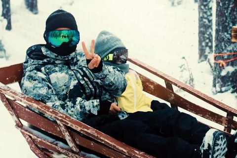 Combo Tour\Husky and Reindeer Sledding Ride in Levi