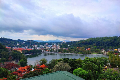 Kandy: City Tour by Tuk Tuk with Local Food Stop