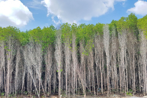 Från Ho Chi Minh: Privat Can Gio-Vam Sat mangroveskog