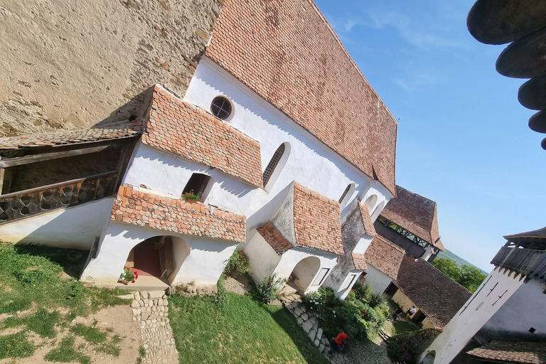 Transylvania 4-Day Tour: Castles, Bears & UNESCO