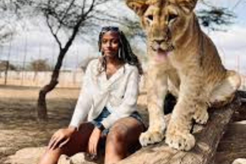 Serval Wildlife : Day Wildlife Tour With Animals Encounters