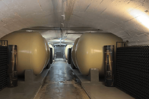 Luxembourg: Moselle Wine & Beaufort Castle Private Day Tour