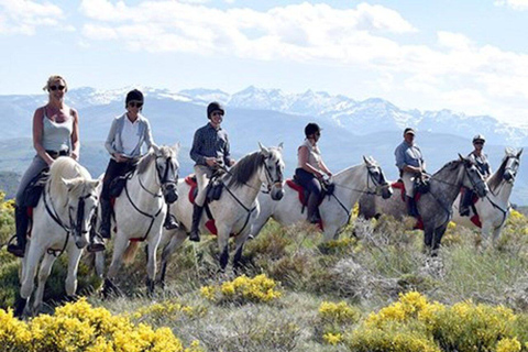 Valladolid: Horseback Riding Tour through Countryside