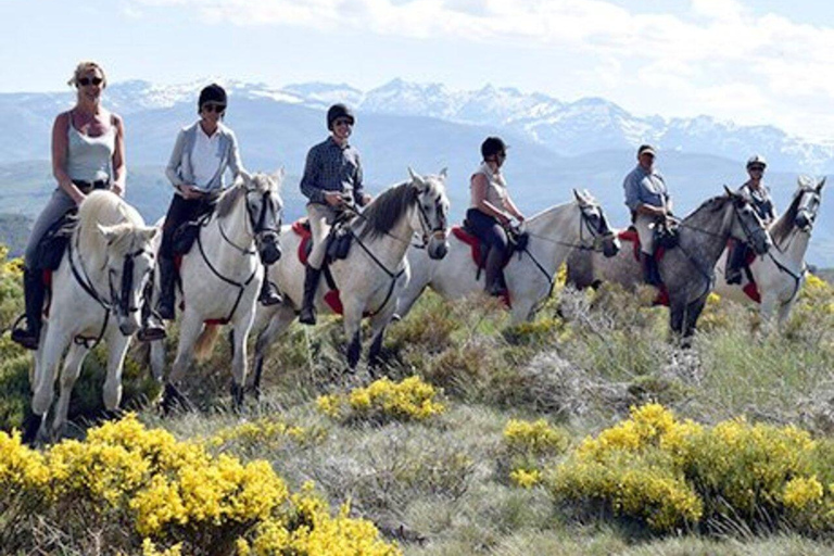 Valladolid: Horseback Riding Tour through Countryside