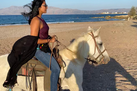 Passeio a cavalo, pôr do sol em Falasarna, jantar em uma taberna, vídeo com drone