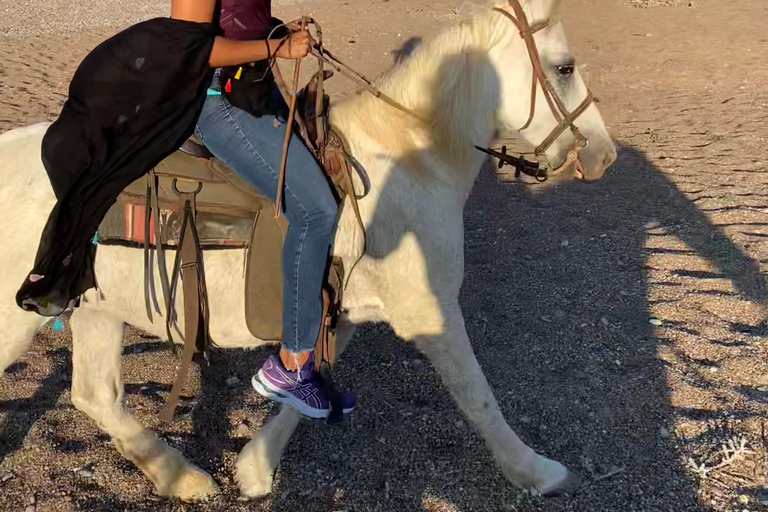 Passeio a cavalo, pôr do sol em Falasarna, jantar em uma taberna, vídeo com drone