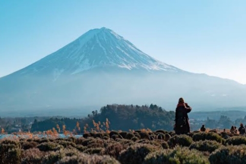 Excursión Privada de Día Completo al Monte Fuji con Guía de Habla Inglesa
