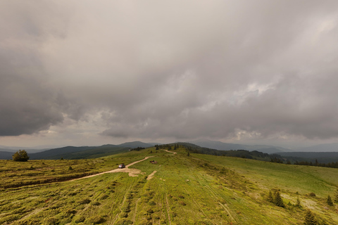 Hidden Trails of Transylvania - Private Off-Road Adventure Brasov: Hidden Trails Sunset Experience