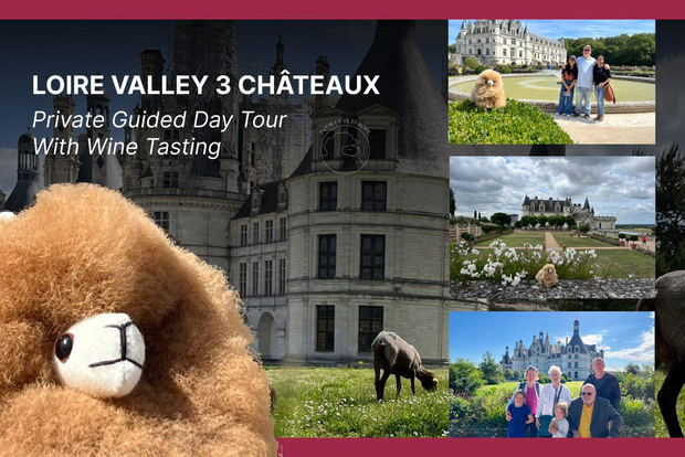 Viagem de 1 dia aos Castelos do Loire e prova de vinhos
