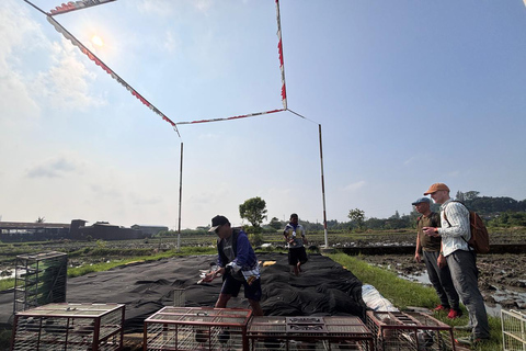 Yogyakarta: Bike Tour, Pottery, Ricefield, Museum With Lunch Bike, Pottery Class, Rice fields, Museum (No Lunch)