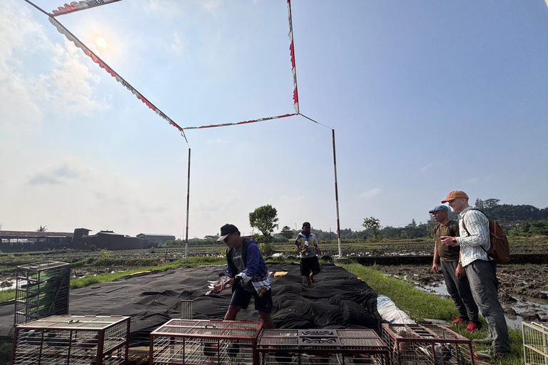 Yogyakarta: Bike Tour, Pottery, Ricefield, Museum With Lunch Bike, Pottery Class, Rice fields, Museum (No Lunch)