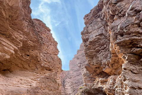 Cafayate: Tour de dia completo por bodegas y degustacion de vinos