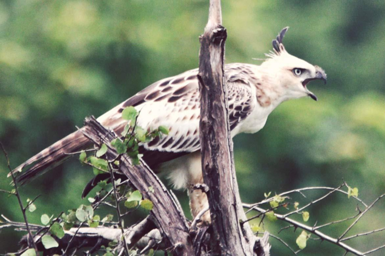 Udawalawe National Park: Entrébiljett