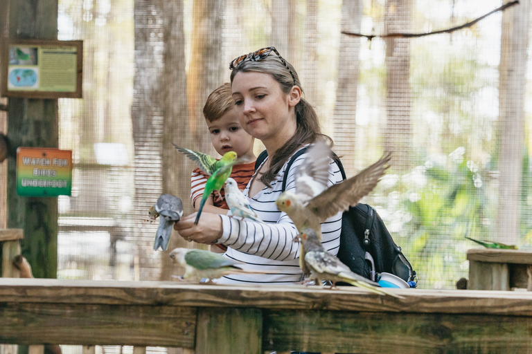 Orlando: drive-tru safaripark bij Wild Florida