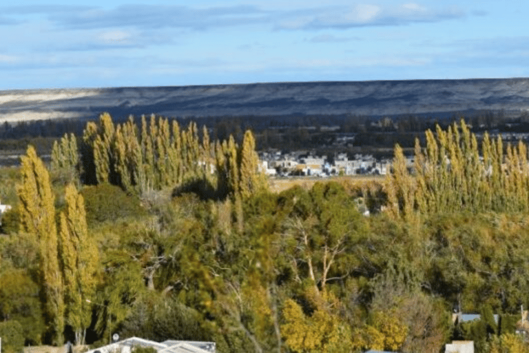Valley + Paleontological Museum for cruise passengers