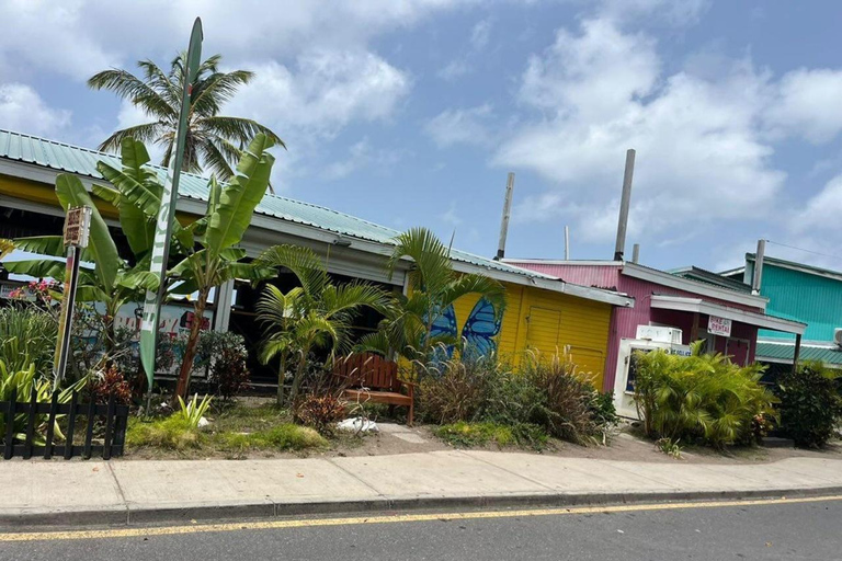 St Kitts: Panaramic Rainforests and Beach Excursions