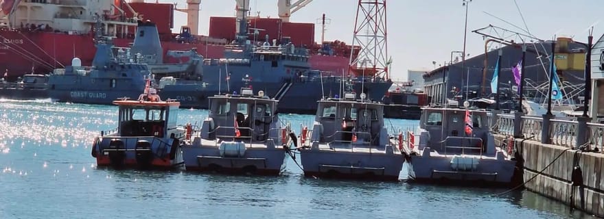 Port Louis : visite de la ville avec dégustation de street food