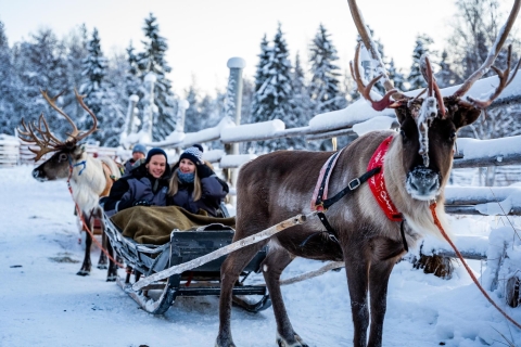 Rovaniemi: Kerstmannen dorp, Husky & rendiersledetocht
