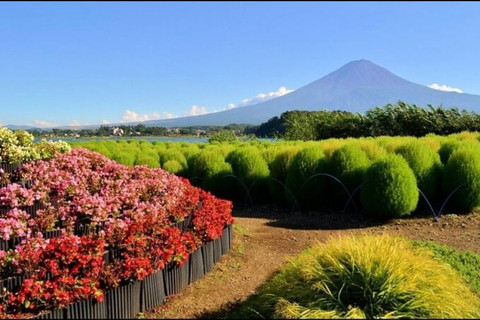Mt Fuji Sightseeing Private tour with English Speaking Guide