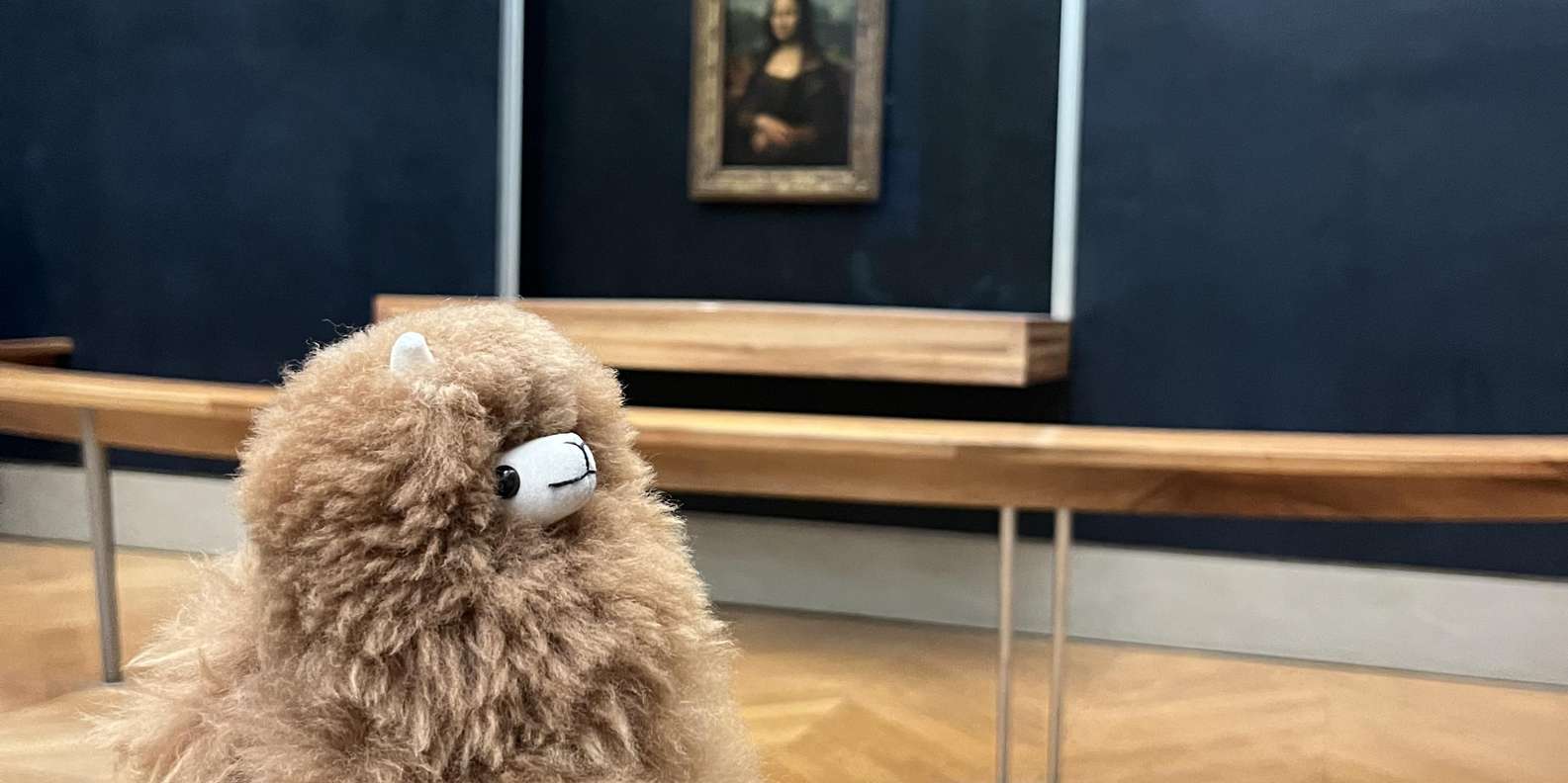 Private Guided Tour of the Louvre