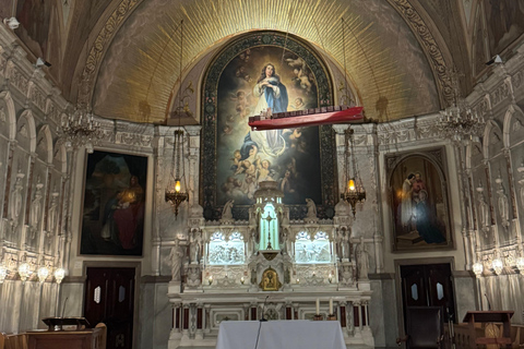 Montreal Private City Car Tour with Local Guide