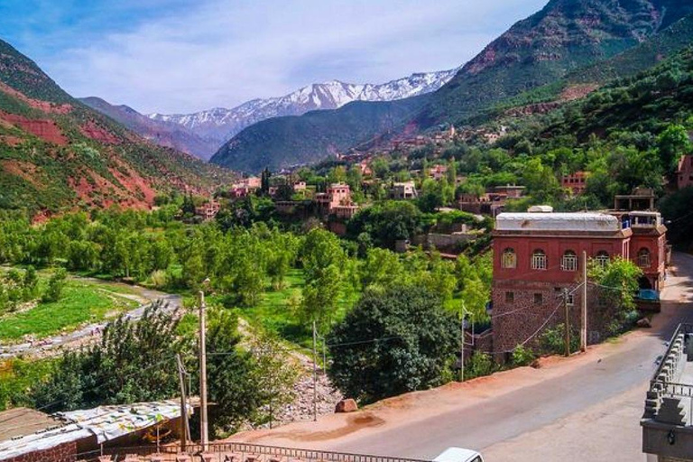 Marrakech: ourika valley & lunch & guided hike to waterfalls