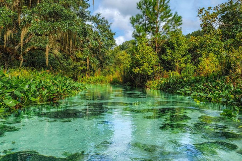 Florida: Emerald Cut Kayak Adventure Emerald Cut Kayak Adventure - Single Kayak