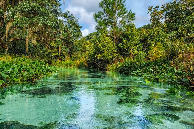 Florida: Emerald Cut Kayak Adventure Emerald Cut Kayak Adventure - Single Kayak