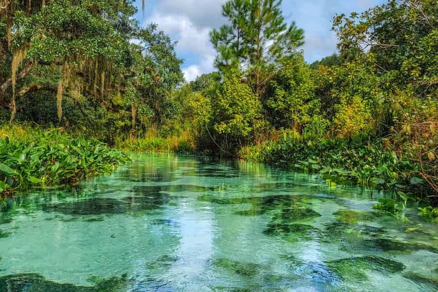 Florida: Kajak-Abenteuer im Emerald Cut. Foto: GetYourGuide