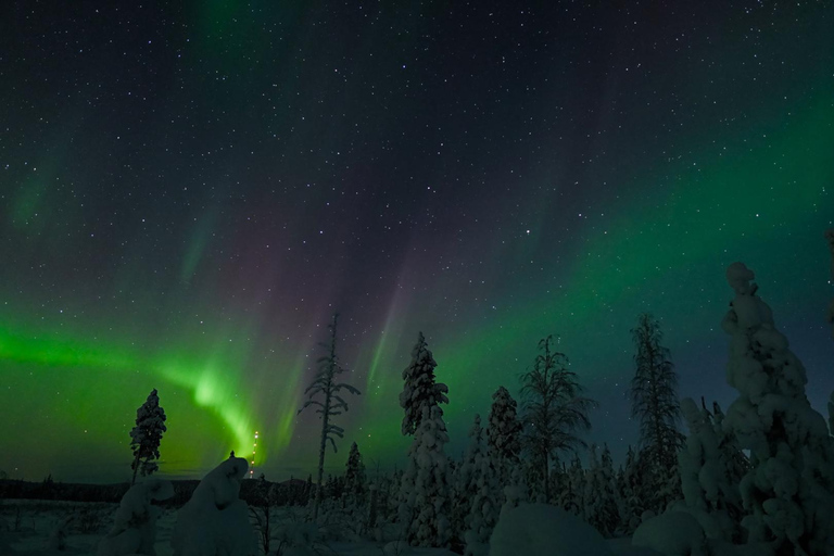 Rovaniemi: Aurora Hunt with 95% Success Rate, 4 people group Rovaniemi: Aurora Hunt with 95% Success Rate, PRIVATE