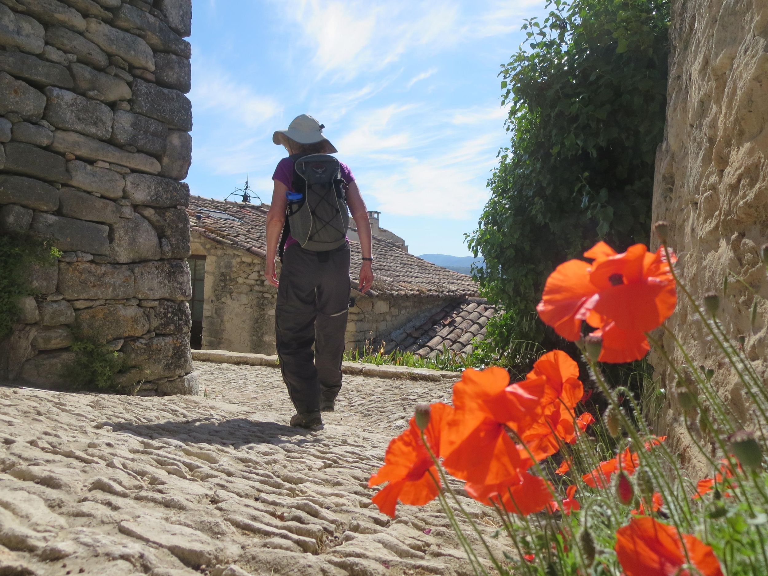 Gordes: Geführte Wanderung zur Abtei Sénanque