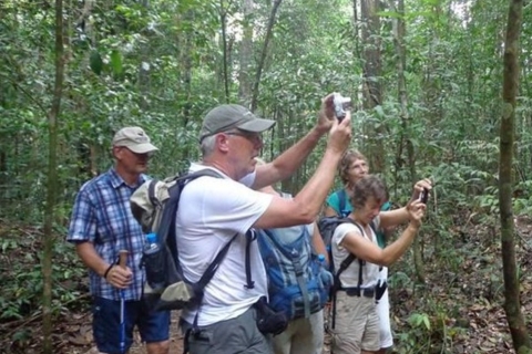 "Descubrimiento del Bosque de Kanneliya: Expedición guiada por la naturaleza"