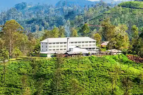 Bentota/Kalutara/Hikkaduwa : Excursion à Ella Highlands